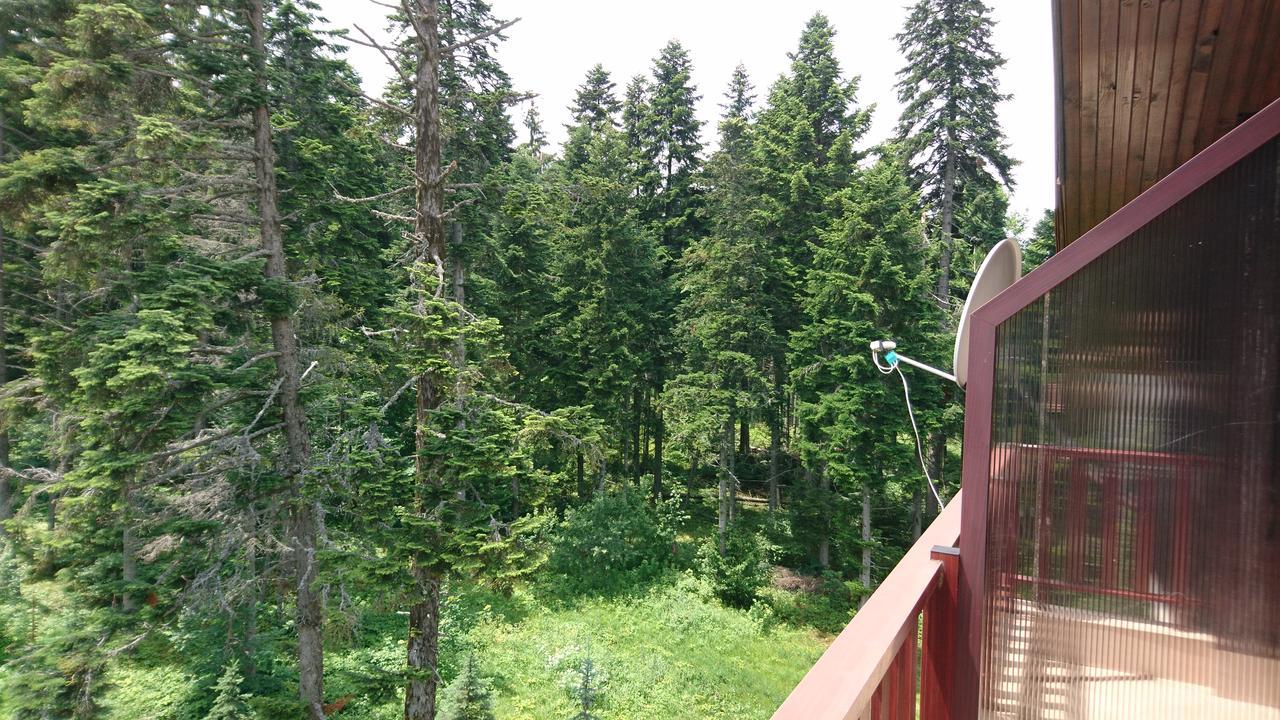 Tes Flora Apartments Borovets Dış mekan fotoğraf